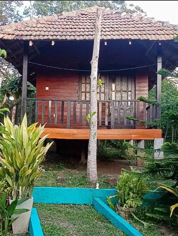 Eco Cabanas Marakolliya Tangalle Pokoj fotografie