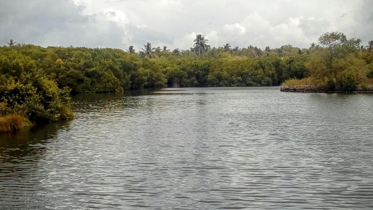 Eco Cabanas Marakolliya Tangalle Exteriér fotografie