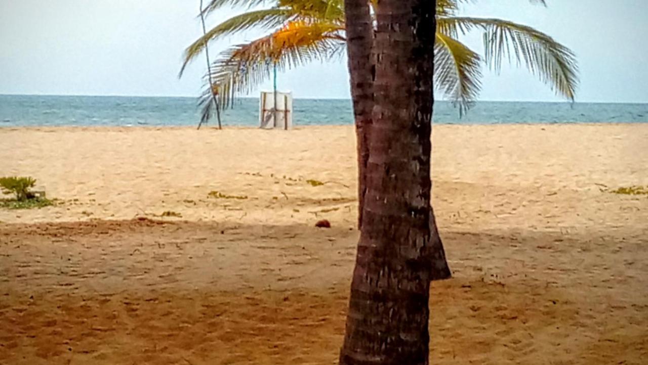 Eco Cabanas Marakolliya Tangalle Exteriér fotografie